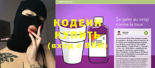 индика Касимов