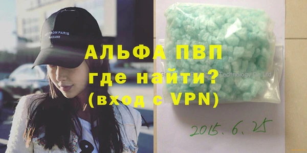индика Касимов