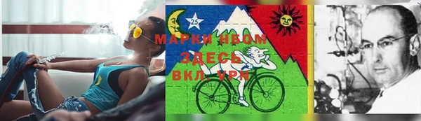 стаф Карпинск