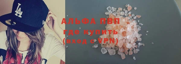 стаф Карпинск