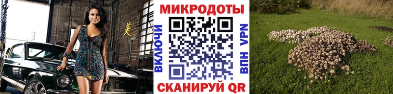 Псилоцибиновые грибы GOLDEN TEACHER  Кадников 