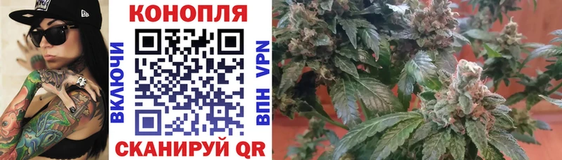 Бошки Шишки гибрид  наркотики  площадка какой сайт  Кадников 